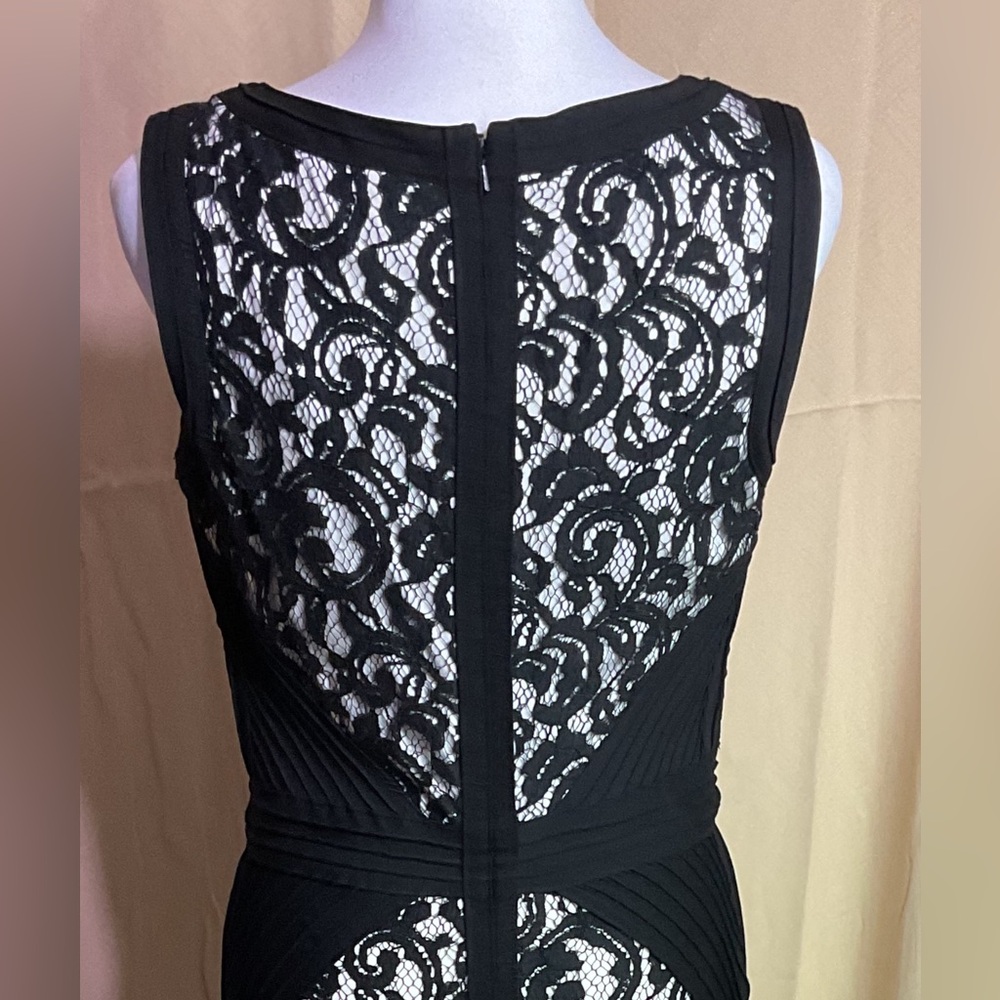 Tadashi Shoji Sleeveless Gown - Picture 11 of 15